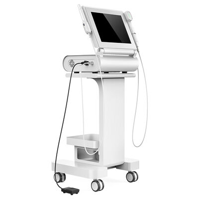15 Zoll sortieren 2 in 1 Ultraschall-Facelift-Maschine/in der vaginalen Festziehenausrüstung aus