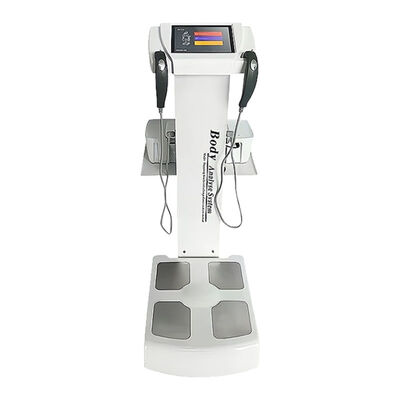 Guter Preis 2 Griffe 8 Kontaktpunkte 3D-Körperscanner Messdrucker Körperzusammensetzungsanalysator enthalten Online