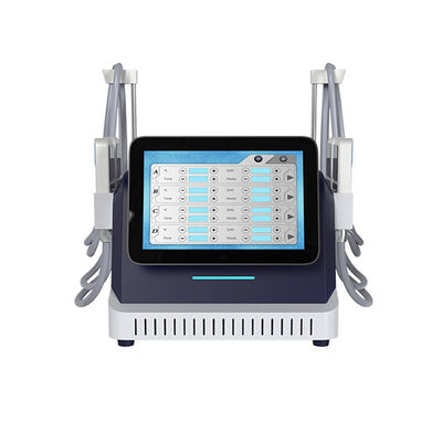 Guter Preis 2 in 1 Cryo-Platte und EMS-Schlankheitsmaschine für Fettfrieren und Hautverengung Online