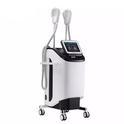 Guter Preis Körper 2.3KVA, der Muskel-Anreger 220v 300µS EMS abnimmt Online