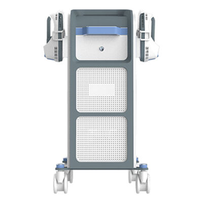 Guter Preis Elektromagnetische Muskelstimulation 13tesla Babyshaping Online