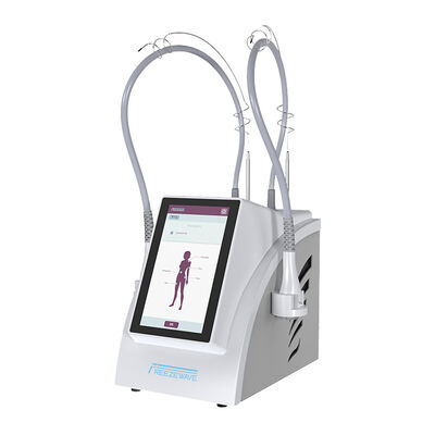 Guter Preis Tragbare Mikrowellen-Körperstraffungsmaschine 2,45 GHz Freezewave-Körperformungsmaschine Online