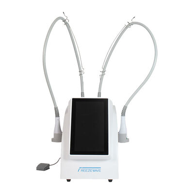Guter Preis 15.6 Zoll Cryo Fett Reduktion Cellulite Entfernung Freezewave 2.45GHz Mikrowelle Körper Kontur Maschine Online