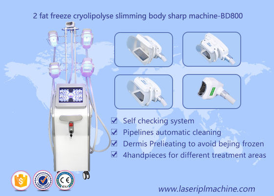 Guter Preis Form-Körper Cryolipolysis, der Maschine, Schönheits-Ausrüstung Lipo Cryo Cryolipolysis abnimmt Online