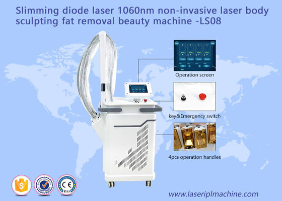Guter Preis 1060nm nicht-invasive Laser-Kavitation Body Slimming Maschine tragbare 110v 220v Online