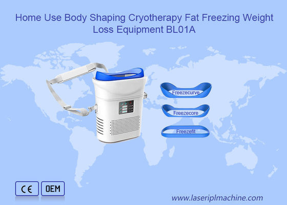 Guter Preis Gewichtsverlust fettes einfrierendes Cryolipolysis, das Maschine abnimmt Online